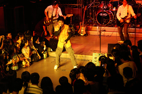 �����ű����ݳ���