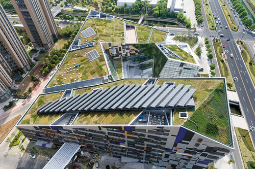 �����˹��Ļ�����