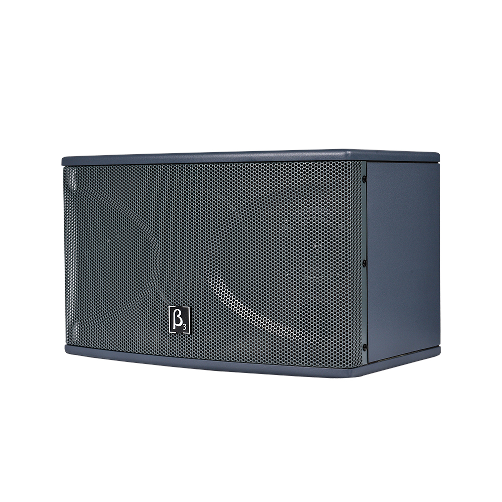 FN8 - 专业卡拉OK音箱