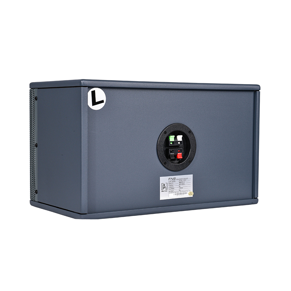 FN8 - 专业卡拉OK音箱