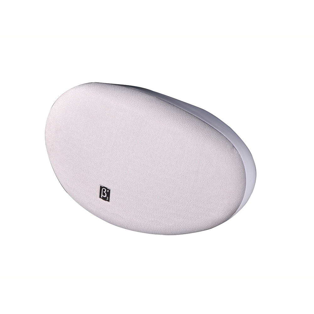 QS600ai - 商用网络扬声