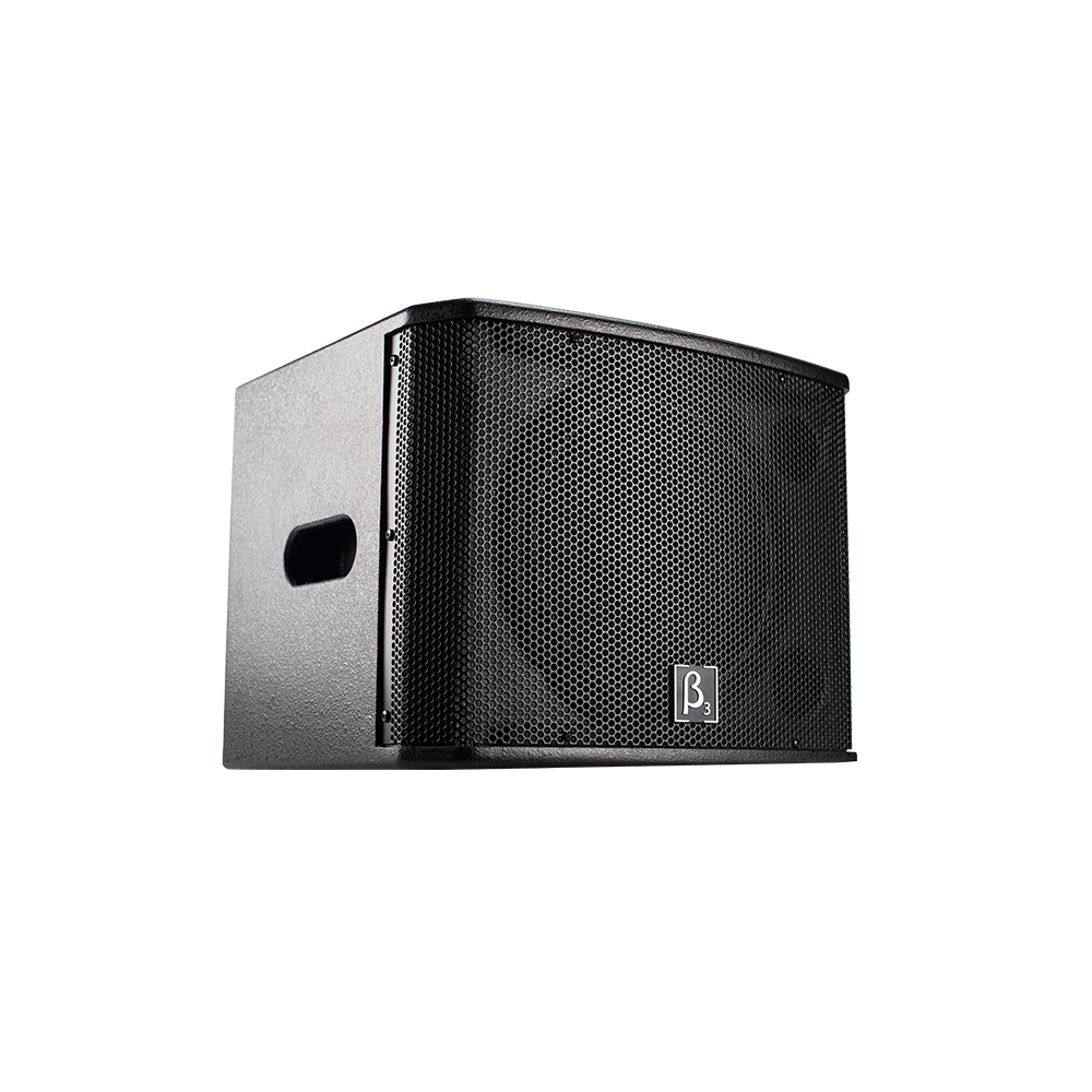 SUB110P - 单10寸有源低频扬声器