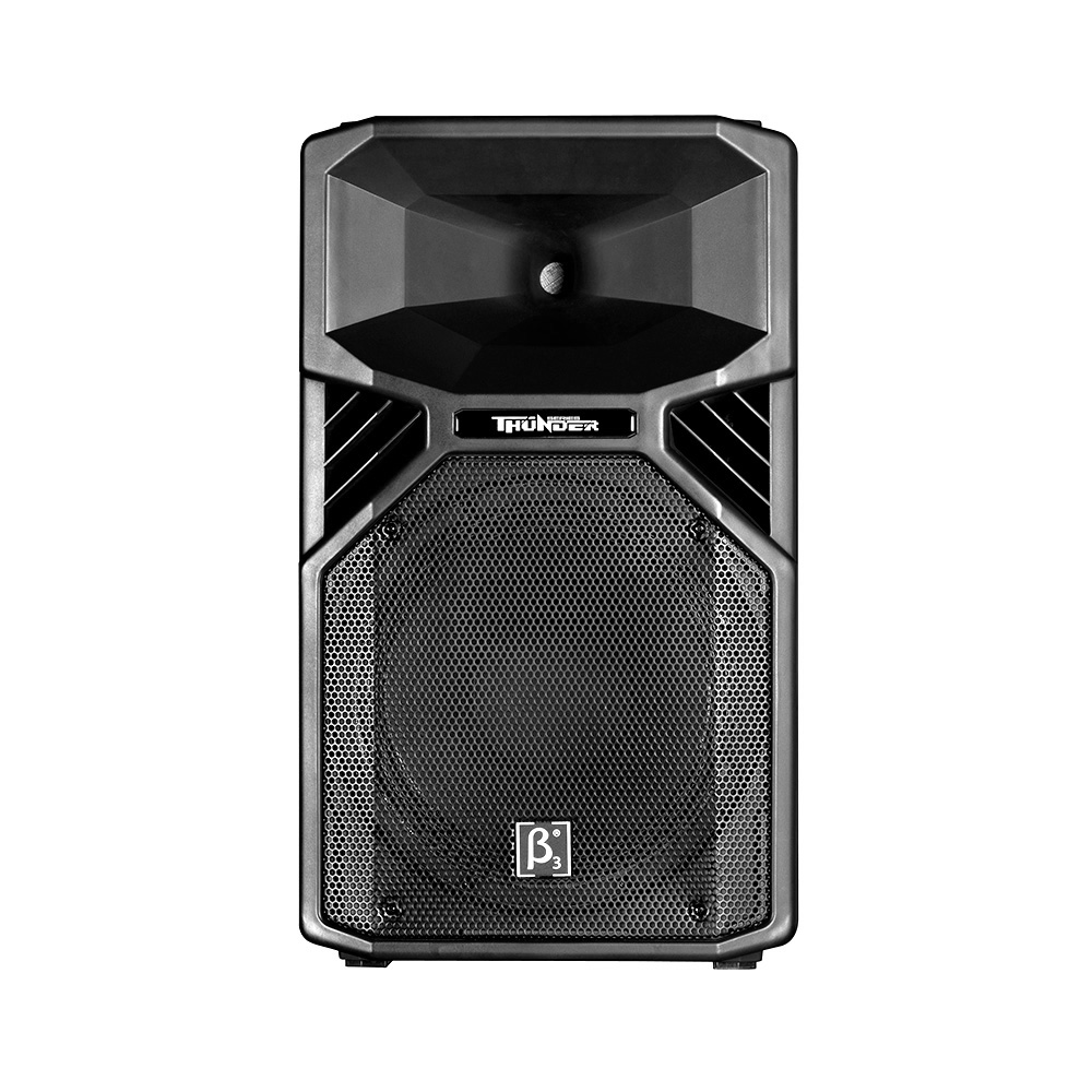 T12 - 内置2分频12英寸全频塑胶扬声器系统