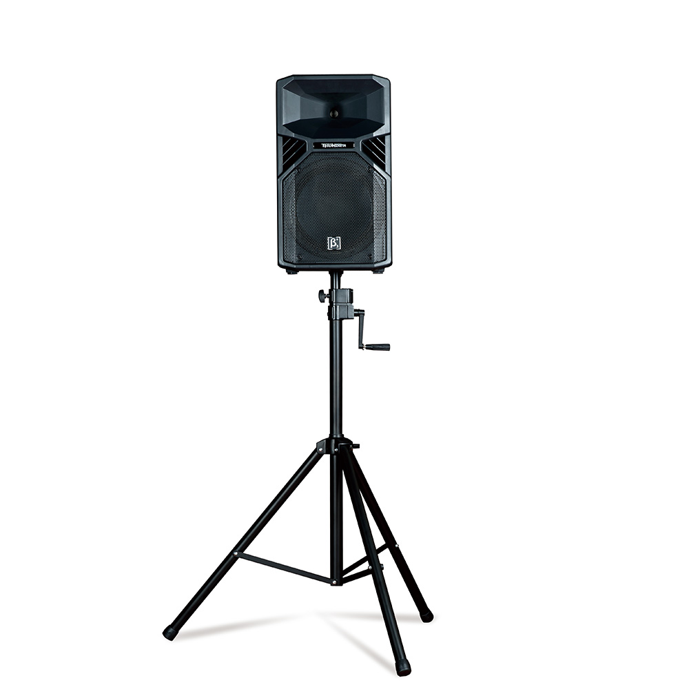 T12 - 内置2分频12英寸全频塑胶扬声器系统