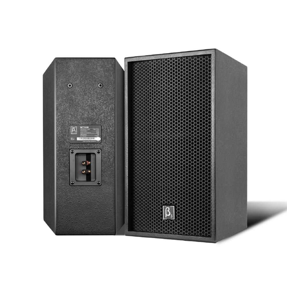WT308 - 单8寸两路全频扬声器